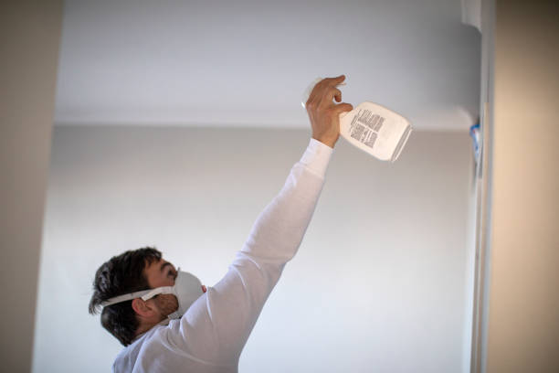 Best Residential Mold Removal  in Coraopolis, PA