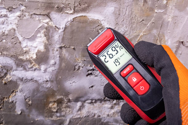 Best Home Mold Removal  in Coraopolis, PA