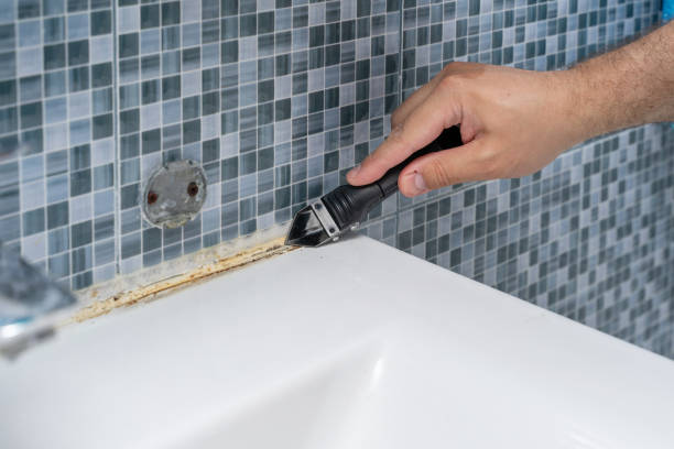 Best Mold Inspection  in Coraopolis, PA