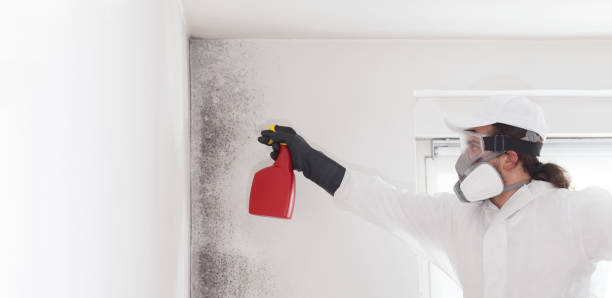 Coraopolis, PA Mold Removal Company